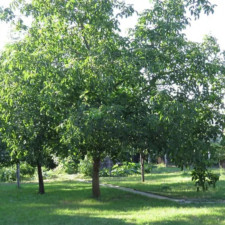 게스트하우스 Mentha Privat Apartman Hajdúszoboszló